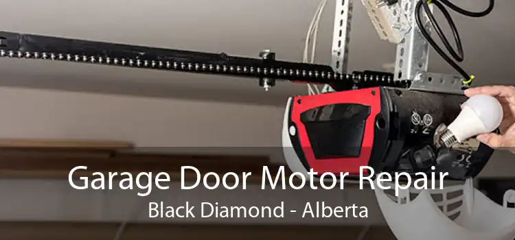 Garage Door Motor Repair Black Diamond - Alberta