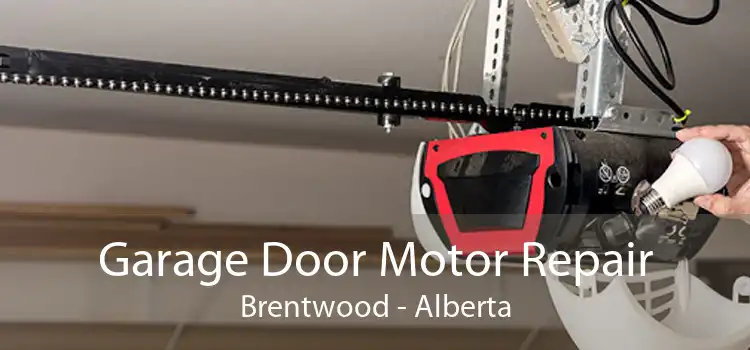 Garage Door Motor Repair Brentwood - Alberta