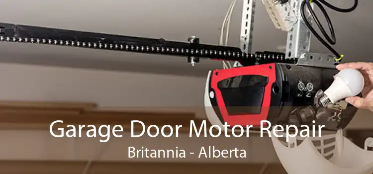 Garage Door Motor Repair Britannia - Alberta