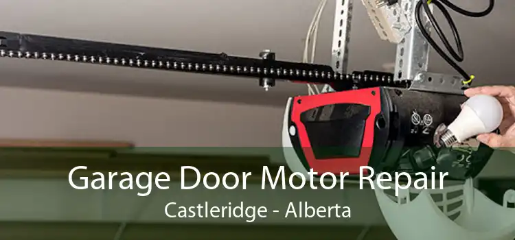 Garage Door Motor Repair Castleridge - Alberta