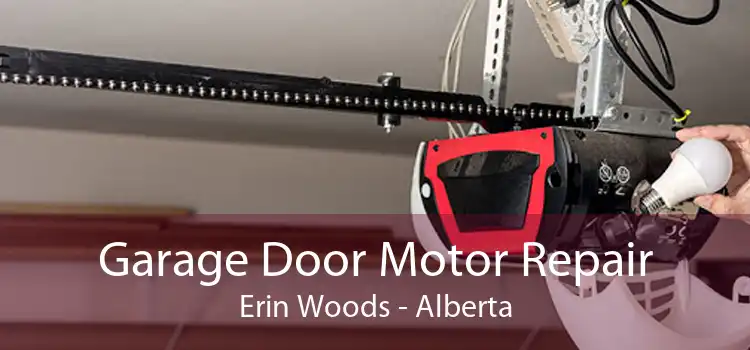 Garage Door Motor Repair Erin Woods - Alberta