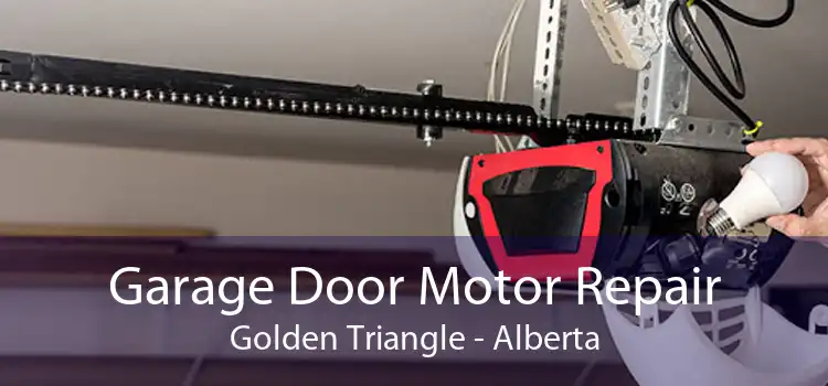 Garage Door Motor Repair Golden Triangle - Alberta