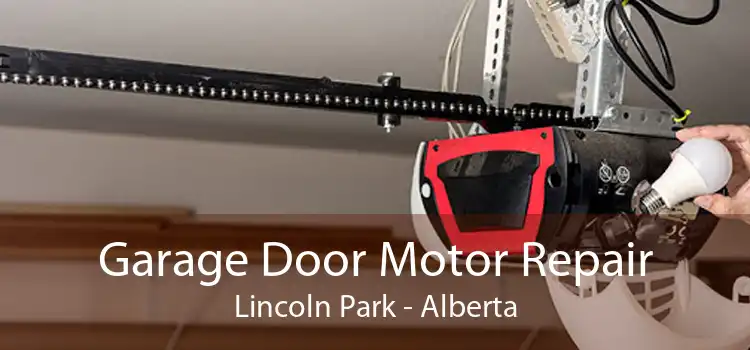 Garage Door Motor Repair Lincoln Park - Alberta