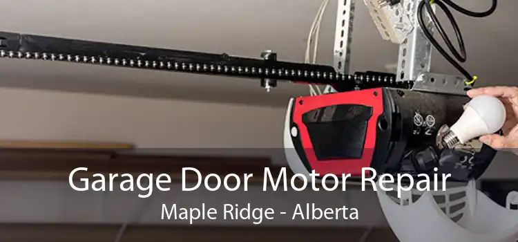 Garage Door Motor Repair Maple Ridge - Alberta