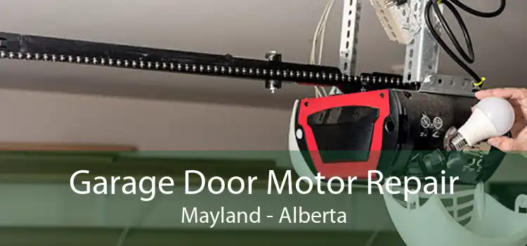 Garage Door Motor Repair Mayland - Alberta