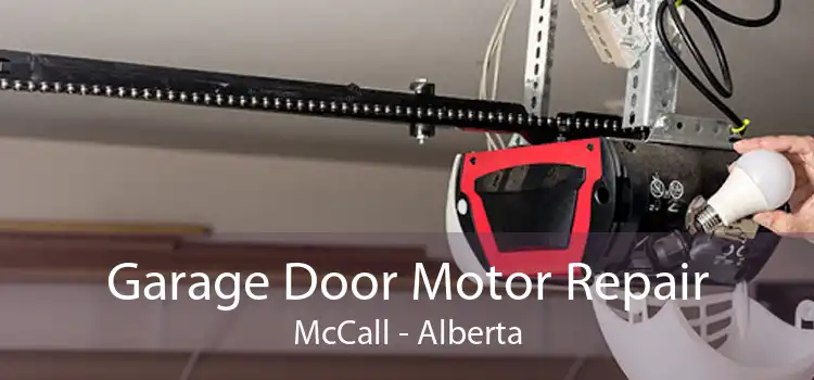 Garage Door Motor Repair McCall - Alberta