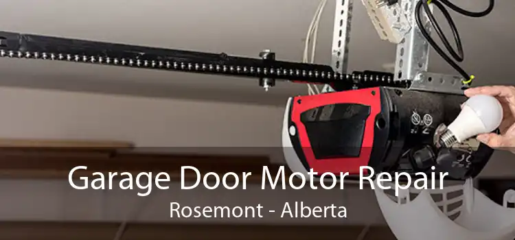 Garage Door Motor Repair Rosemont - Alberta