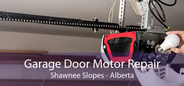 Garage Door Motor Repair Shawnee Slopes - Alberta