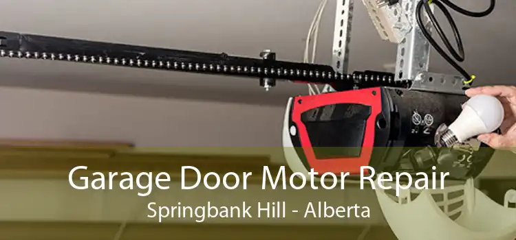 Garage Door Motor Repair Springbank Hill - Alberta