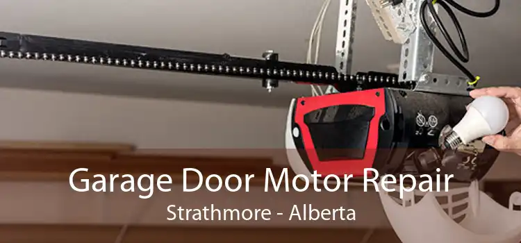 Garage Door Motor Repair Strathmore - Alberta