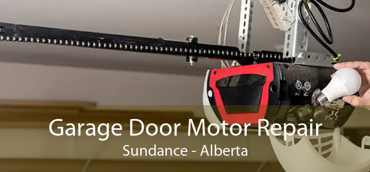 Garage Door Motor Repair Sundance - Alberta