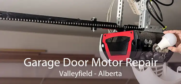 Garage Door Motor Repair Valleyfield - Alberta