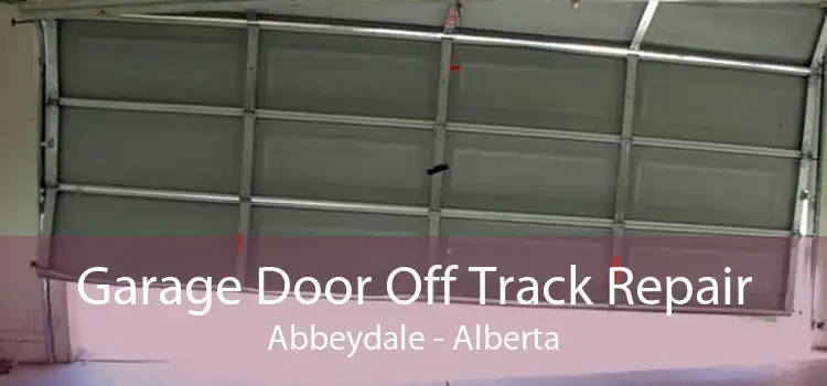 Garage Door Off Track Repair Abbeydale - Alberta