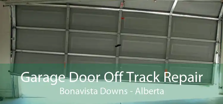 Garage Door Off Track Repair Bonavista Downs - Alberta