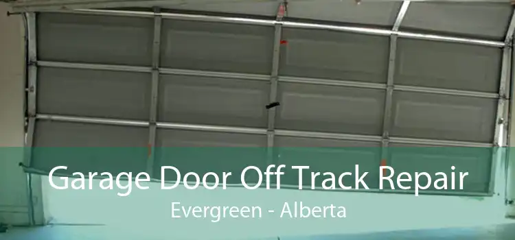 Garage Door Off Track Repair Evergreen - Alberta
