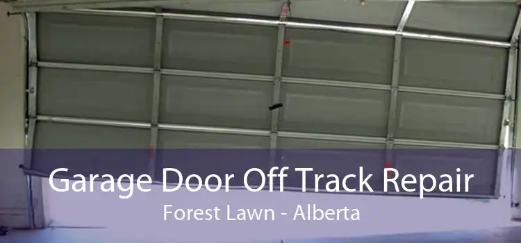Garage Door Off Track Repair Forest Lawn - Alberta