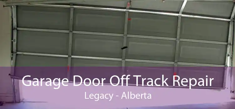 Garage Door Off Track Repair Legacy - Alberta