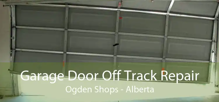 Garage Door Off Track Repair Ogden Shops - Alberta