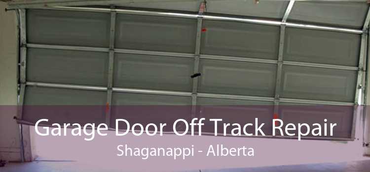 Garage Door Off Track Repair Shaganappi - Alberta
