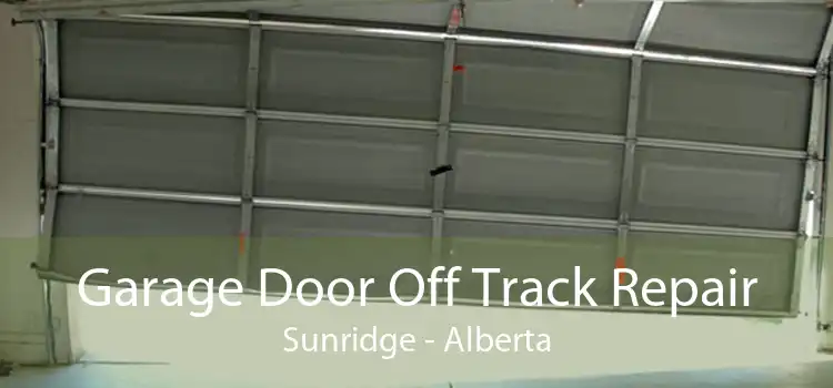 Garage Door Off Track Repair Sunridge - Alberta