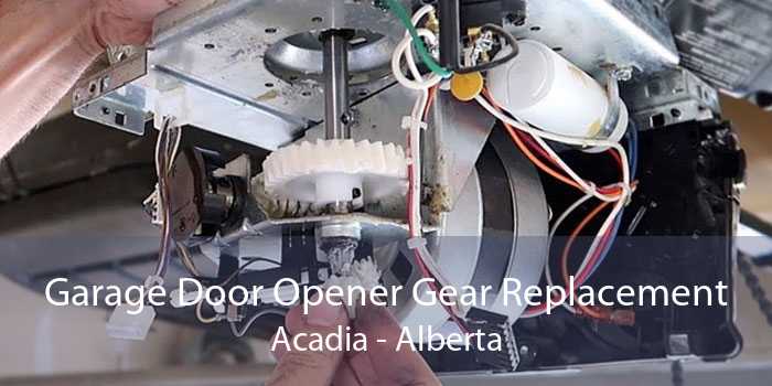 Garage Door Opener Gear Replacement Acadia - Alberta