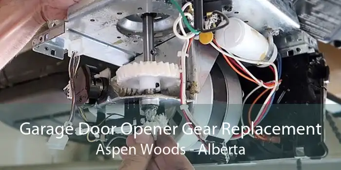 Garage Door Opener Gear Replacement Aspen Woods - Alberta