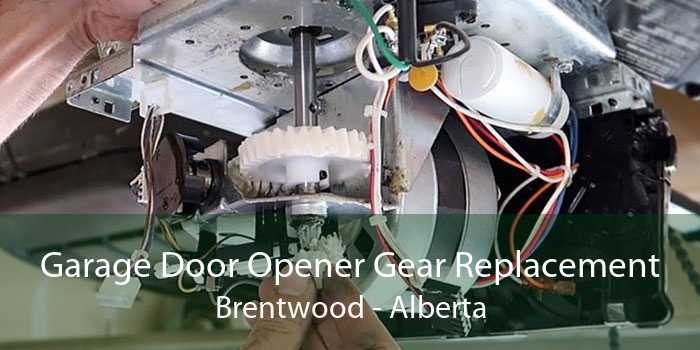 Garage Door Opener Gear Replacement Brentwood - Alberta