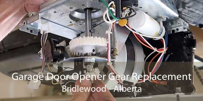 Garage Door Opener Gear Replacement Bridlewood - Alberta