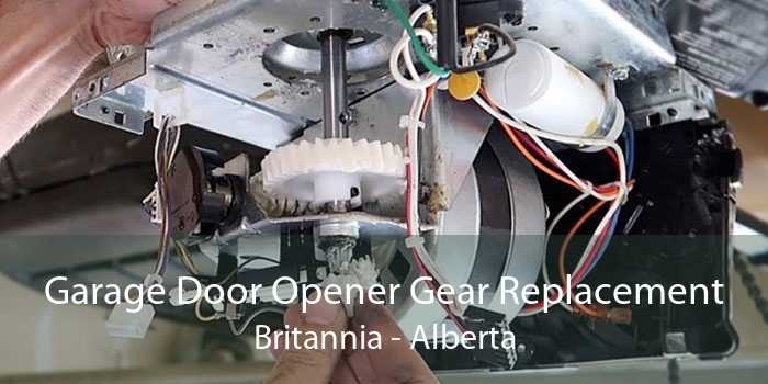 Garage Door Opener Gear Replacement Britannia - Alberta
