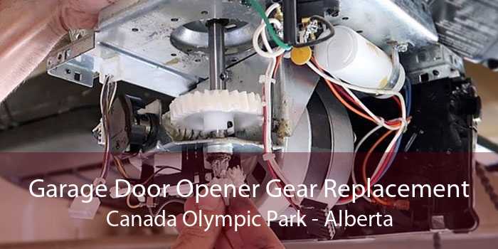 Garage Door Opener Gear Replacement Canada Olympic Park - Alberta