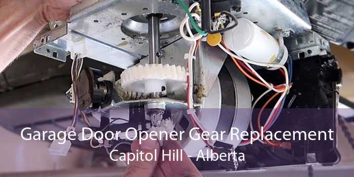Garage Door Opener Gear Replacement Capitol Hill - Alberta