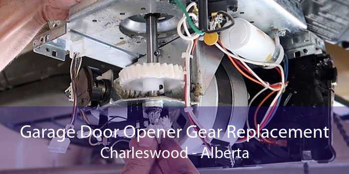 Garage Door Opener Gear Replacement Charleswood - Alberta