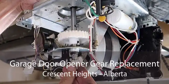 Garage Door Opener Gear Replacement Crescent Heights - Alberta