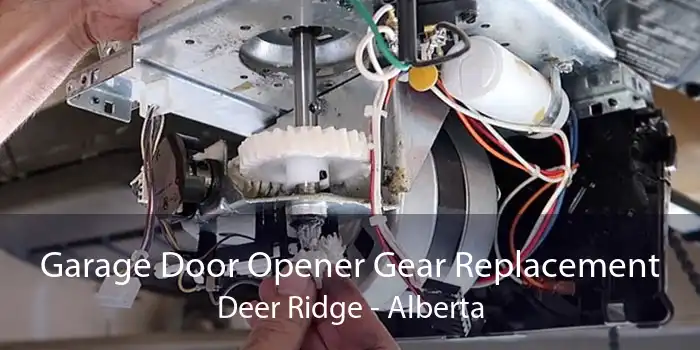 Garage Door Opener Gear Replacement Deer Ridge - Alberta