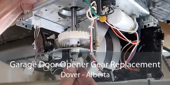 Garage Door Opener Gear Replacement Dover - Alberta