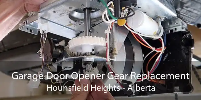 Garage Door Opener Gear Replacement Hounsfield Heights - Alberta