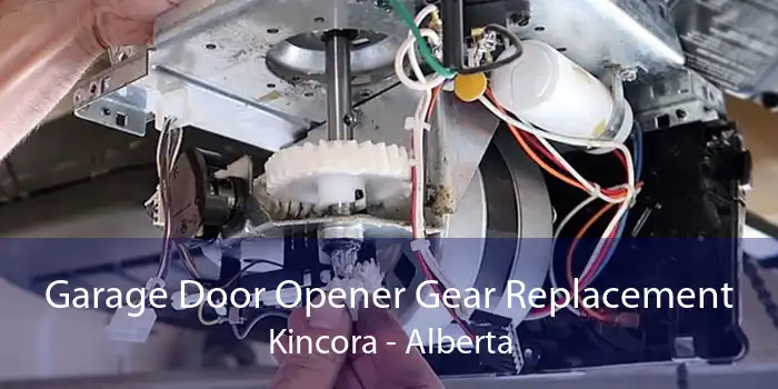 Garage Door Opener Gear Replacement Kincora - Alberta