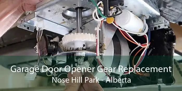 Garage Door Opener Gear Replacement Nose Hill Park - Alberta