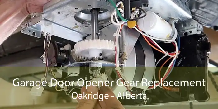 Garage Door Opener Gear Replacement Oakridge - Alberta