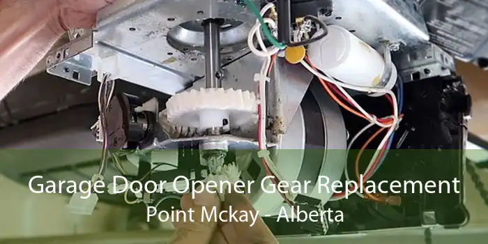 Garage Door Opener Gear Replacement Point Mckay - Alberta