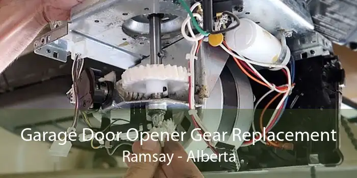 Garage Door Opener Gear Replacement Ramsay - Alberta