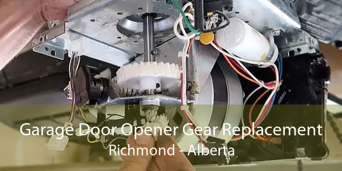 Garage Door Opener Gear Replacement Richmond - Alberta