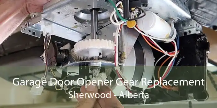 Garage Door Opener Gear Replacement Sherwood - Alberta