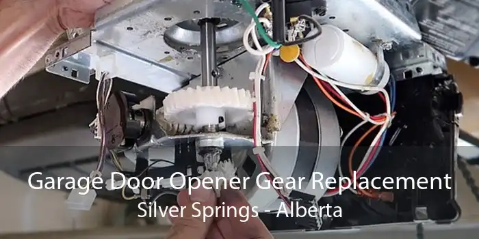 Garage Door Opener Gear Replacement Silver Springs - Alberta