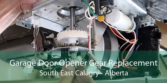 Garage Door Opener Gear Replacement South East Calagry - Alberta