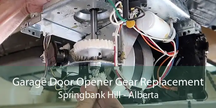 Garage Door Opener Gear Replacement Springbank Hill - Alberta