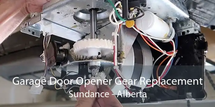 Garage Door Opener Gear Replacement Sundance - Alberta