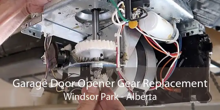 Garage Door Opener Gear Replacement Windsor Park - Alberta