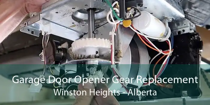 Garage Door Opener Gear Replacement Winston Heights - Alberta
