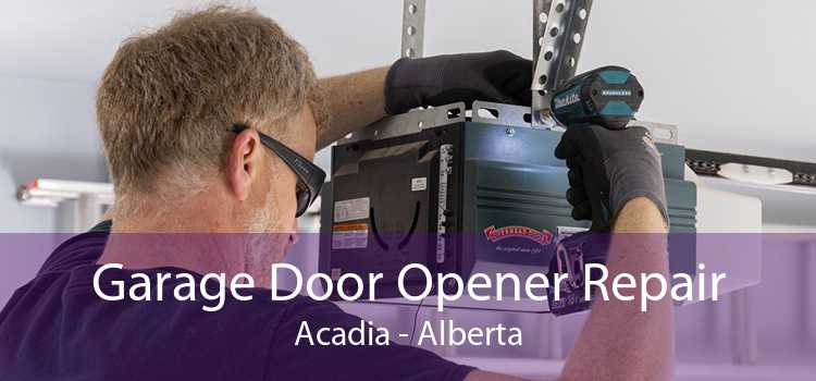 Garage Door Opener Repair Acadia - Alberta